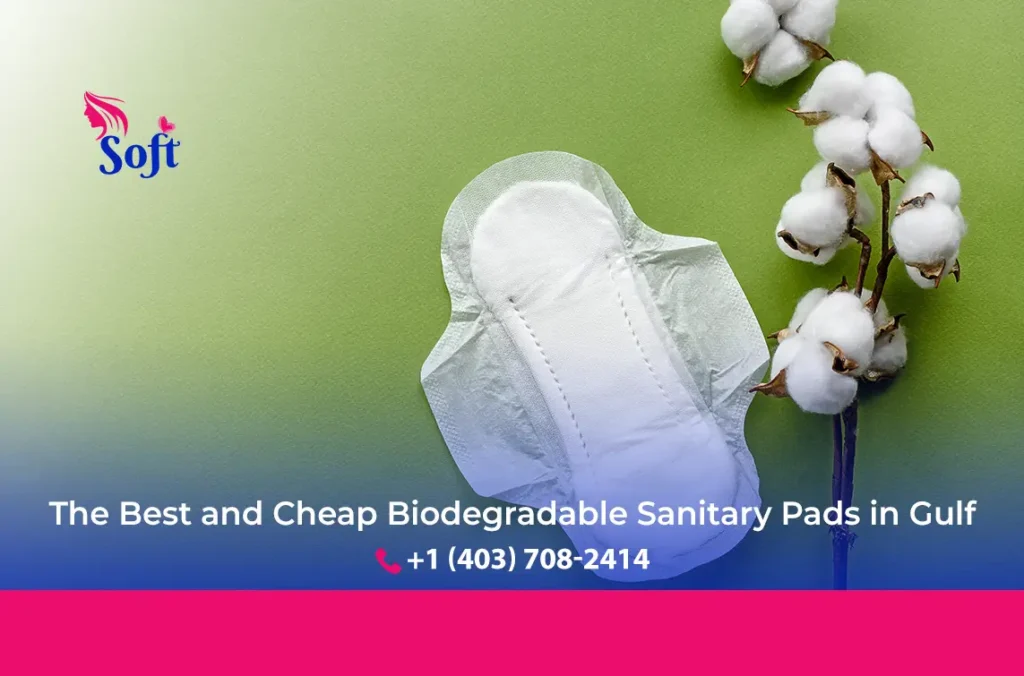 cheap biodegradable sanitary pads