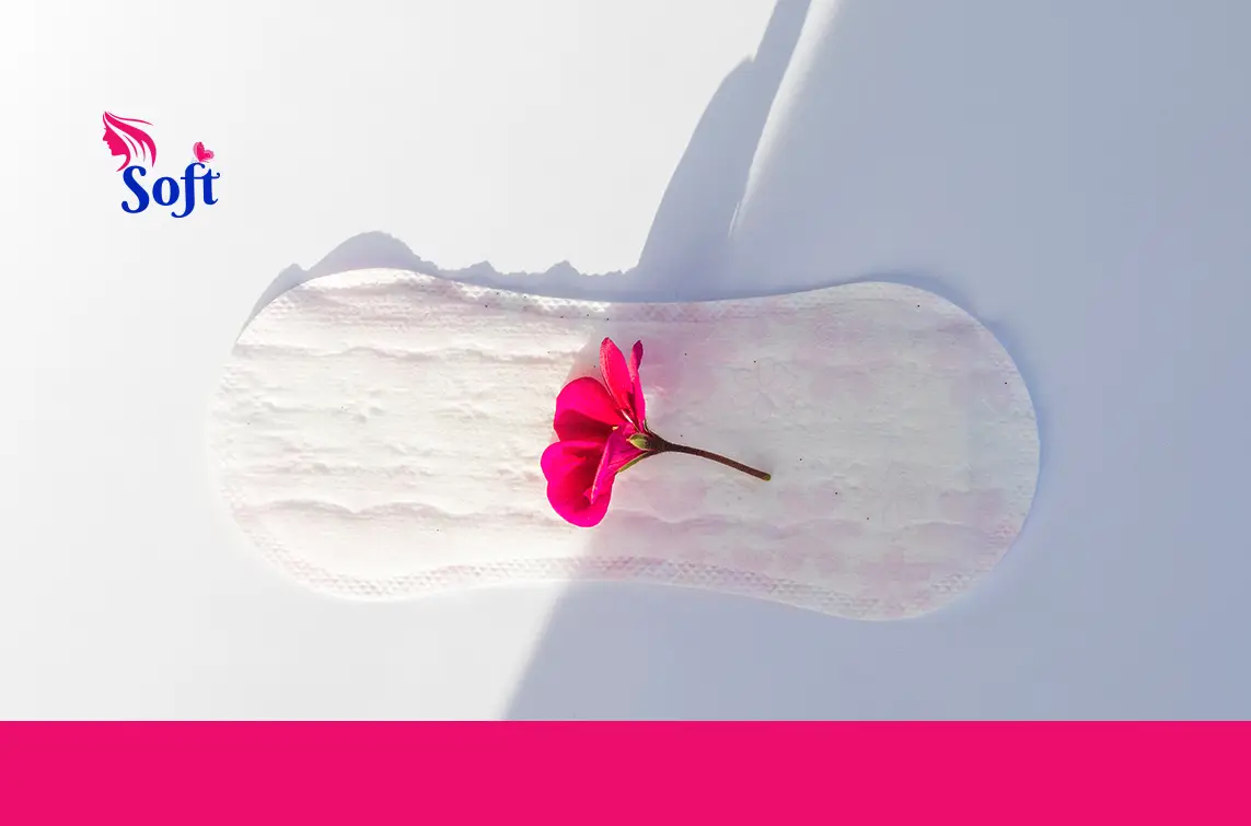 sanitary pads online delivery
How to Find the Best Online Supplier for Sanitary Pads